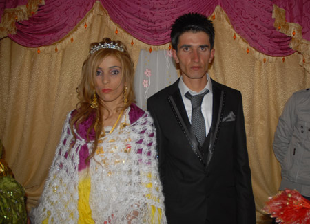2011'de Yüksekova'da evlenenler 294