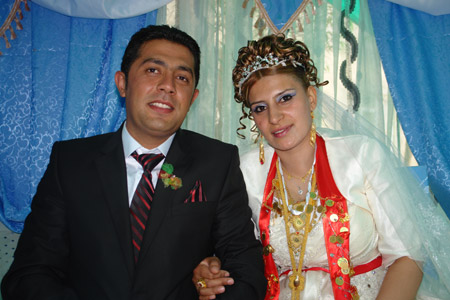 2011'de Yüksekova'da evlenenler 295