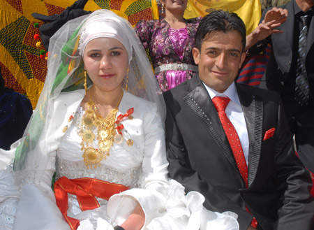 2011'de Yüksekova'da evlenenler 307