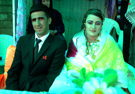 2011'de Yüksekova'da evlenenler 69