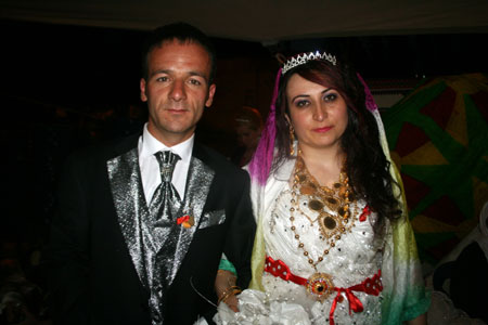 2011'de Hakkari'de evlenenler 131
