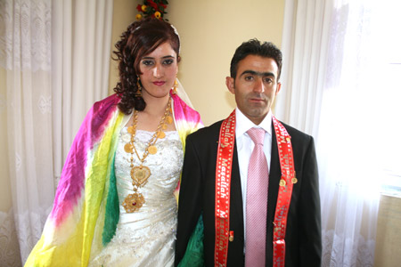 2011'de Hakkari'de evlenenler 151