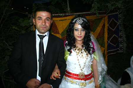 2011'de Hakkari'de evlenenler 154