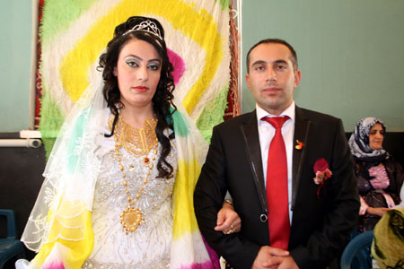 2011'de Hakkari'de evlenenler 155