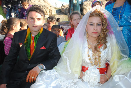 2011'de Hakkari'de evlenenler 164