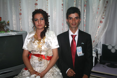 2011'de Hakkari'de evlenenler 169