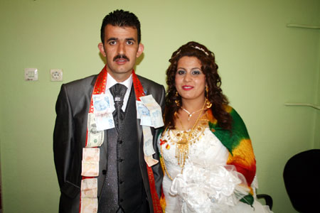 2011'de Hakkari'de evlenenler 178