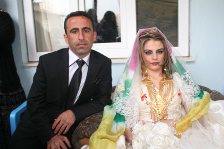 2011'de Hakkari'de evlenenler 182