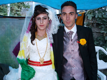 2011'de Hakkari'de evlenenler 194