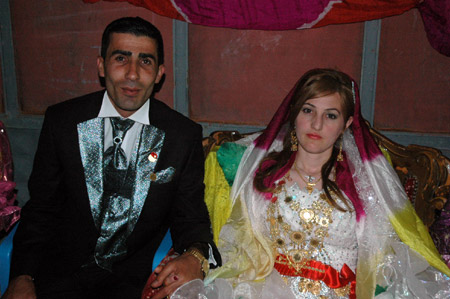 2011'de Hakkari'de evlenenler 56