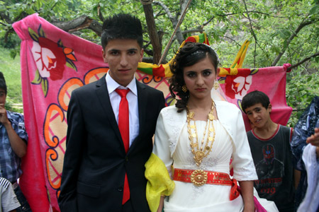 2011'de Hakkari'de evlenenler 87