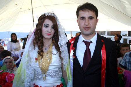2011'de Hakkari'de evlenenler 88