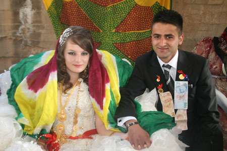 2011'de Hakkari'de evlenenler 91