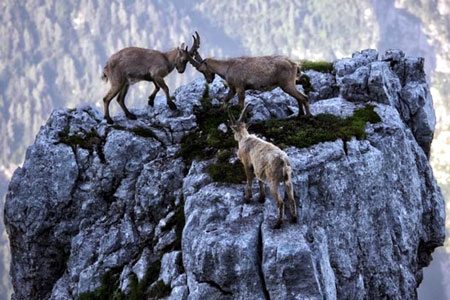 Günün fotoğrafları 34