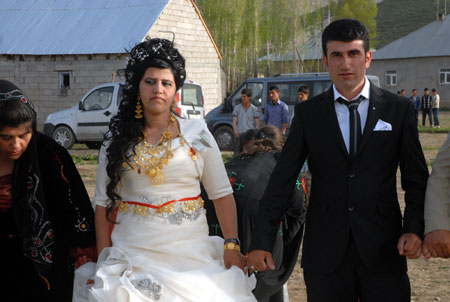 Yüksekova düğünleri 12-13 Mayıs 2012 109