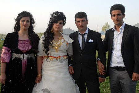 Yüksekova düğünleri 12-13 Mayıs 2012 111