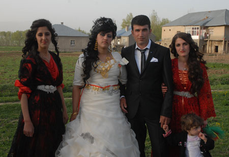 Yüksekova düğünleri 12-13 Mayıs 2012 130