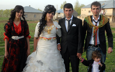 Yüksekova düğünleri 12-13 Mayıs 2012 139