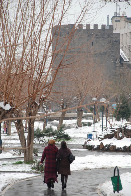 Diyarbakır'da kar manzaraları 10