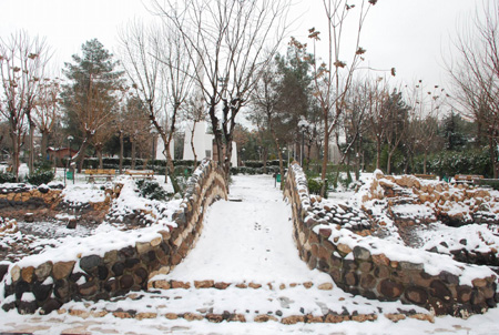 Diyarbakır'da kar manzaraları 12