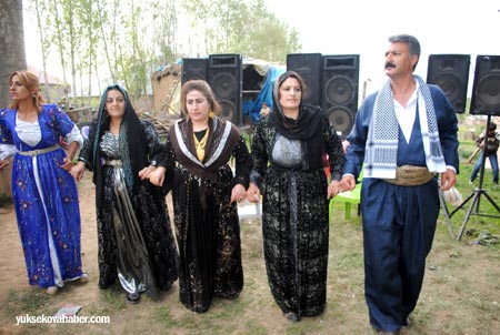 Yüksekova düğünleri - Foto Galeri - 19-20 Mayıs 2012 118