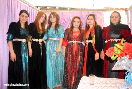 Yüksekova düğünleri - Foto Galeri - 19-20 Mayıs 2012 216