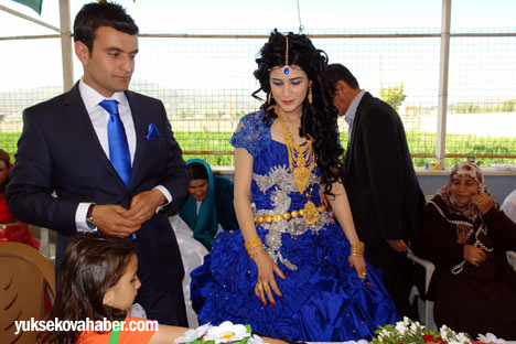 Yüksekova düğünleri - Fotoğraflar - 26-27 Mayıs 2012 39