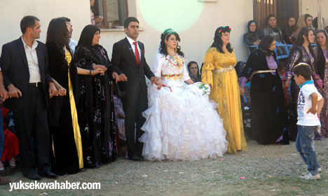 Yüksekova Düğünleri - Foto Galeri - 02-03 Haziran 2012 145