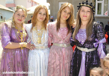 Yüksekova Düğünleri - Foto Galeri - (9-10 Haziran 2012) 27