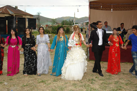Yüksekova Düğünleri (17 Haziran 2012) 146
