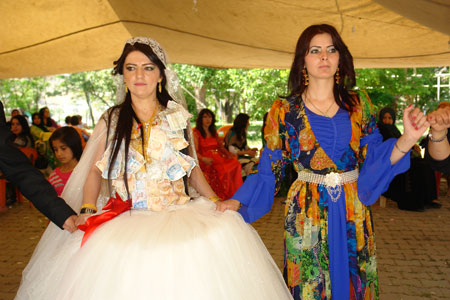 Yüksekova Düğünleri (17 Haziran 2012) 156