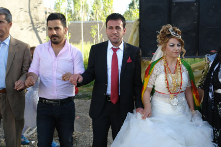 Yüksekova Düğünleri (17 Haziran 2012) 207