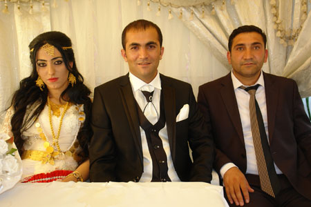 Yüksekova Düğünleri (17 Haziran 2012) 213