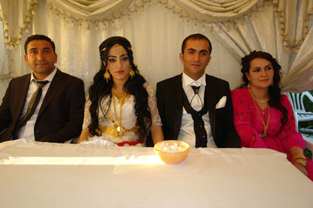 Yüksekova Düğünleri (17 Haziran 2012) 227