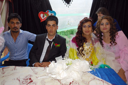 Yüksekova Düğünleri (17 Haziran 2012) 228
