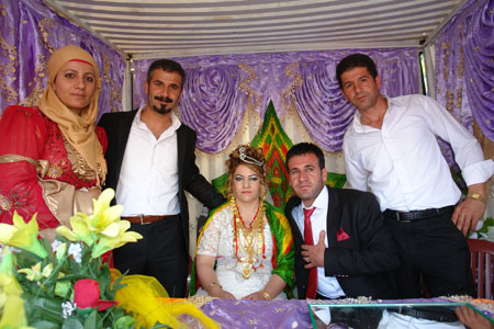 Yüksekova Düğünleri (17 Haziran 2012) 240