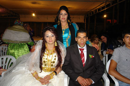 Yüksekova Düğünleri (17 Haziran 2012) 246
