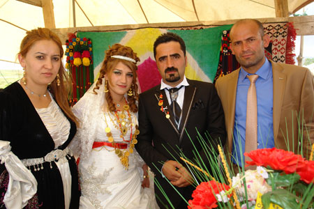 Yüksekova Düğünleri (17 Haziran 2012) 48