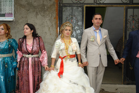 Yüksekova Düğünleri (17 Haziran 2012) 96