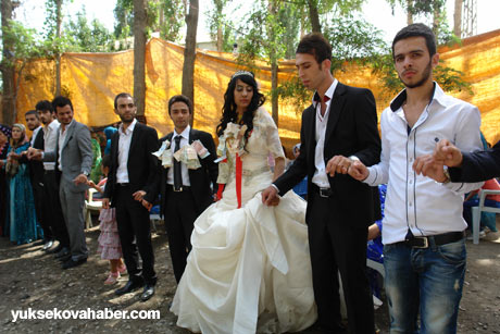 Yüksekova Düğünleri (23-24 Haziran 2012) 77