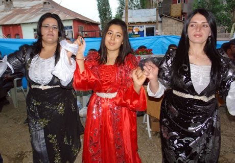 Yüksekova Düğünleri - Foto Galeri - 1 Temmuz 2012 159