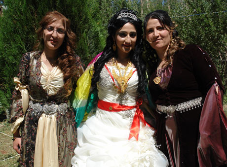 Yüksekova Düğünleri - Foto Galeri - 1 Temmuz 2012 222