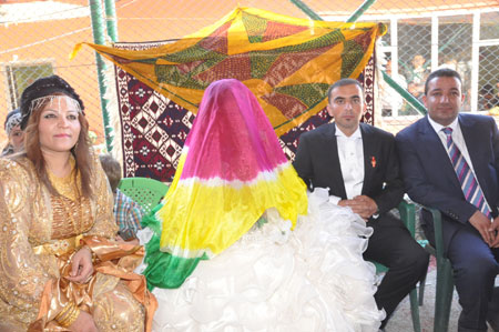 Özdemir ve Pala ailesinin düğününden fotoğraflar 10