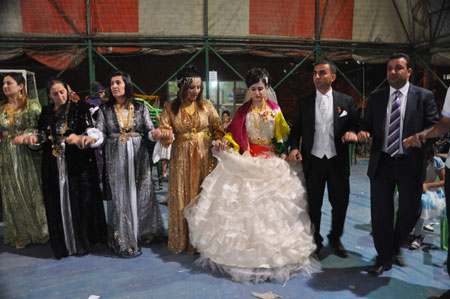 Özdemir ve Pala ailesinin düğününden fotoğraflar 40
