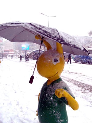 Van'da 2 gündür etkisini sürdüren kar yağışından kareler 14