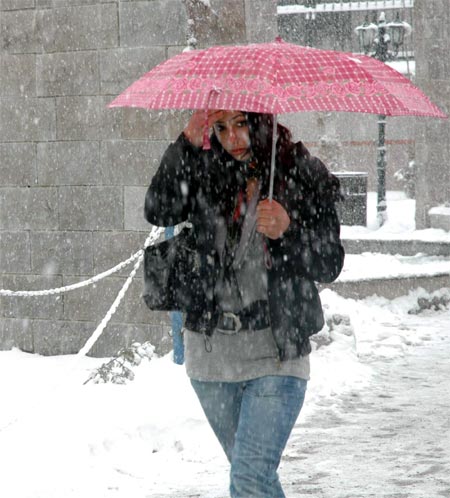 Van'da 2 gündür etkisini sürdüren kar yağışından kareler 23
