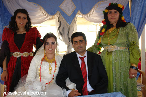 Yüksekova Düğünleri - foto galeri -  (25-26 Ağustos 2012) 215