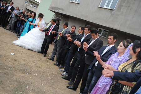 Yüksekova Düğünleri - Foto Galeri - (20-21 Ekim  2012) 227