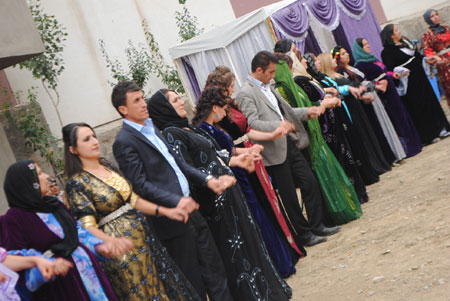 Yüksekova Düğünleri - Foto Galeri - (20-21 Ekim  2012) 233