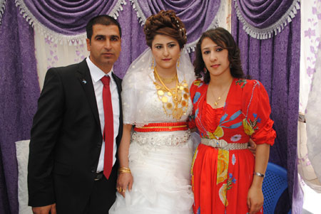 Yüksekova Düğünleri - Foto Galeri - (20-21 Ekim  2012) 236